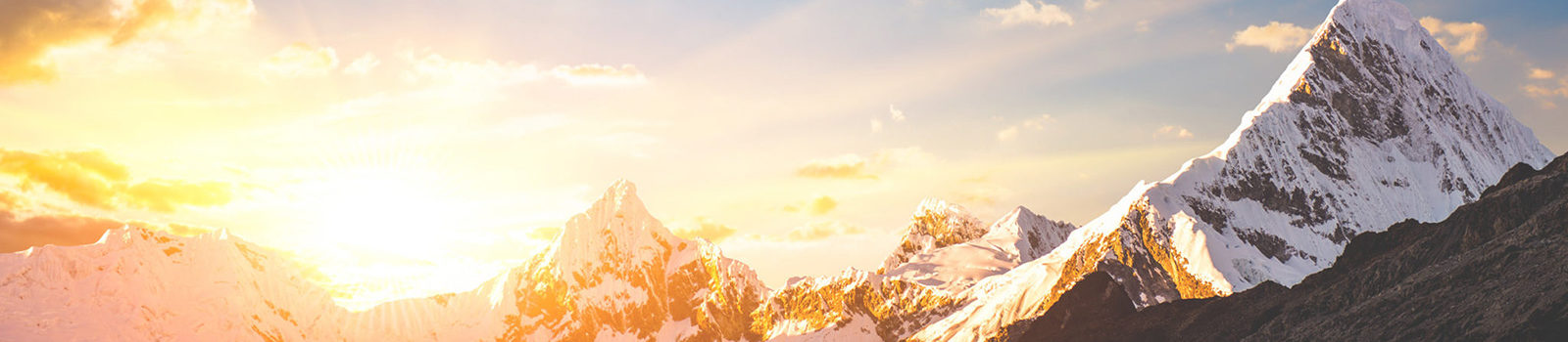 Timeless Wisdom Training Header