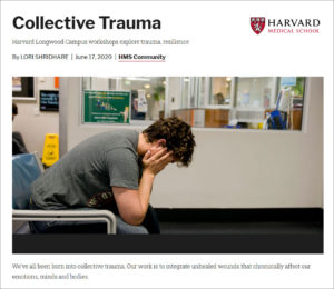 Harvard Trauma Workshop Article