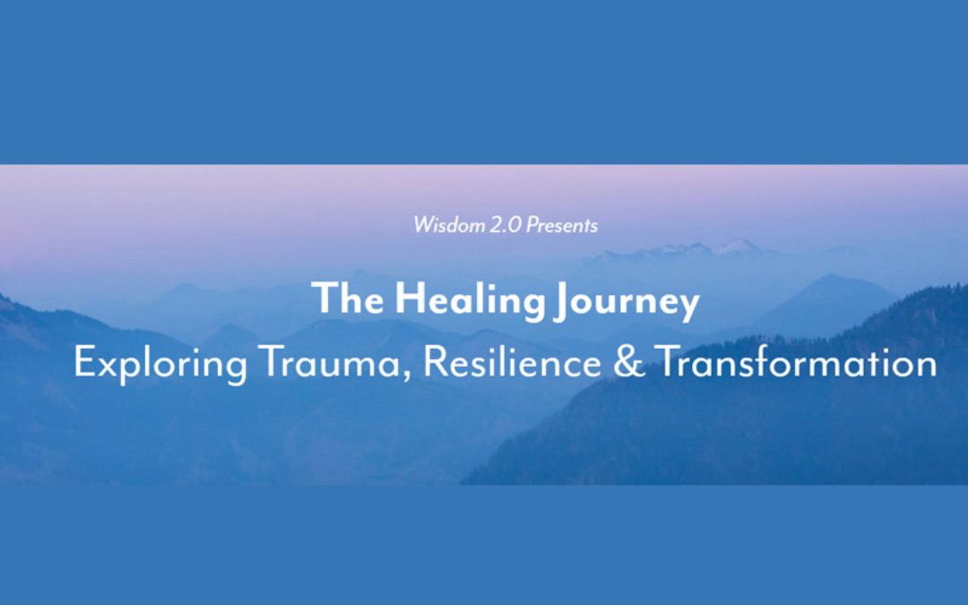 Wisdom 2.0 The Healing Journey