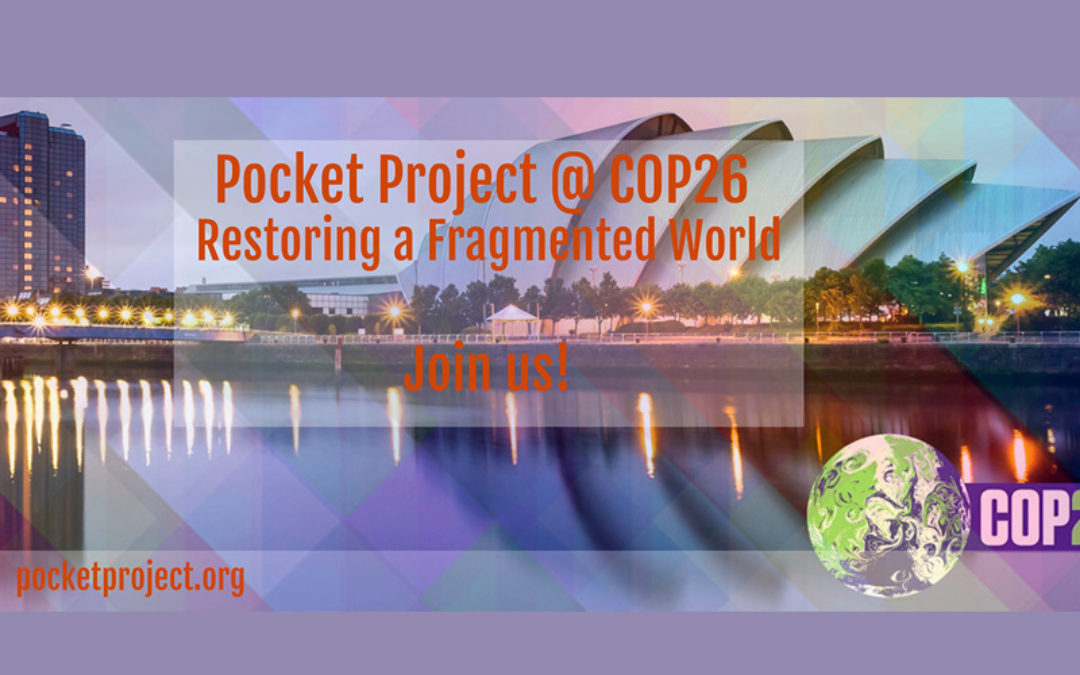 Pocket Project auf der COP26