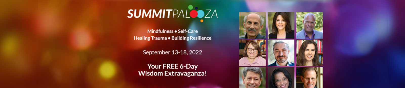 pallooza-header
